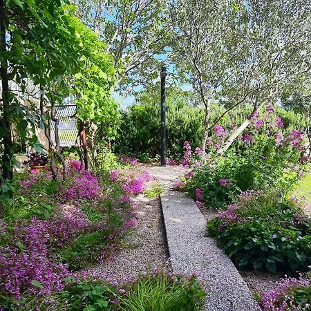 Paradzik Holiday House Vikendica *